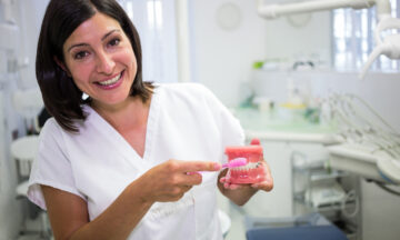 Portrait of dentist cleaning dental jaw model with a toothbrush in the clinic